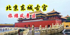 曰本毛茸茸体内射精视频中国北京-东城古宫旅游风景区